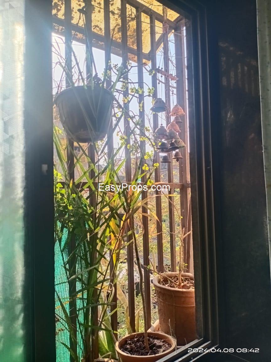 WhatsApp Image 2024-11-12 at 420241112164139043.jpeg